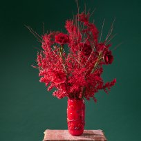 Красное сияние