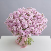 Пышный монобукет из розовых маттиол