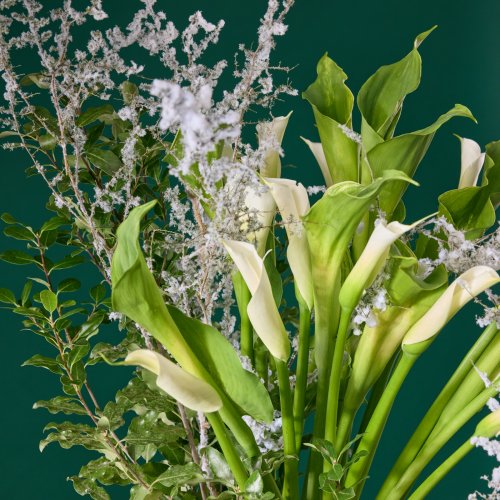 Как гений чистой красоты...